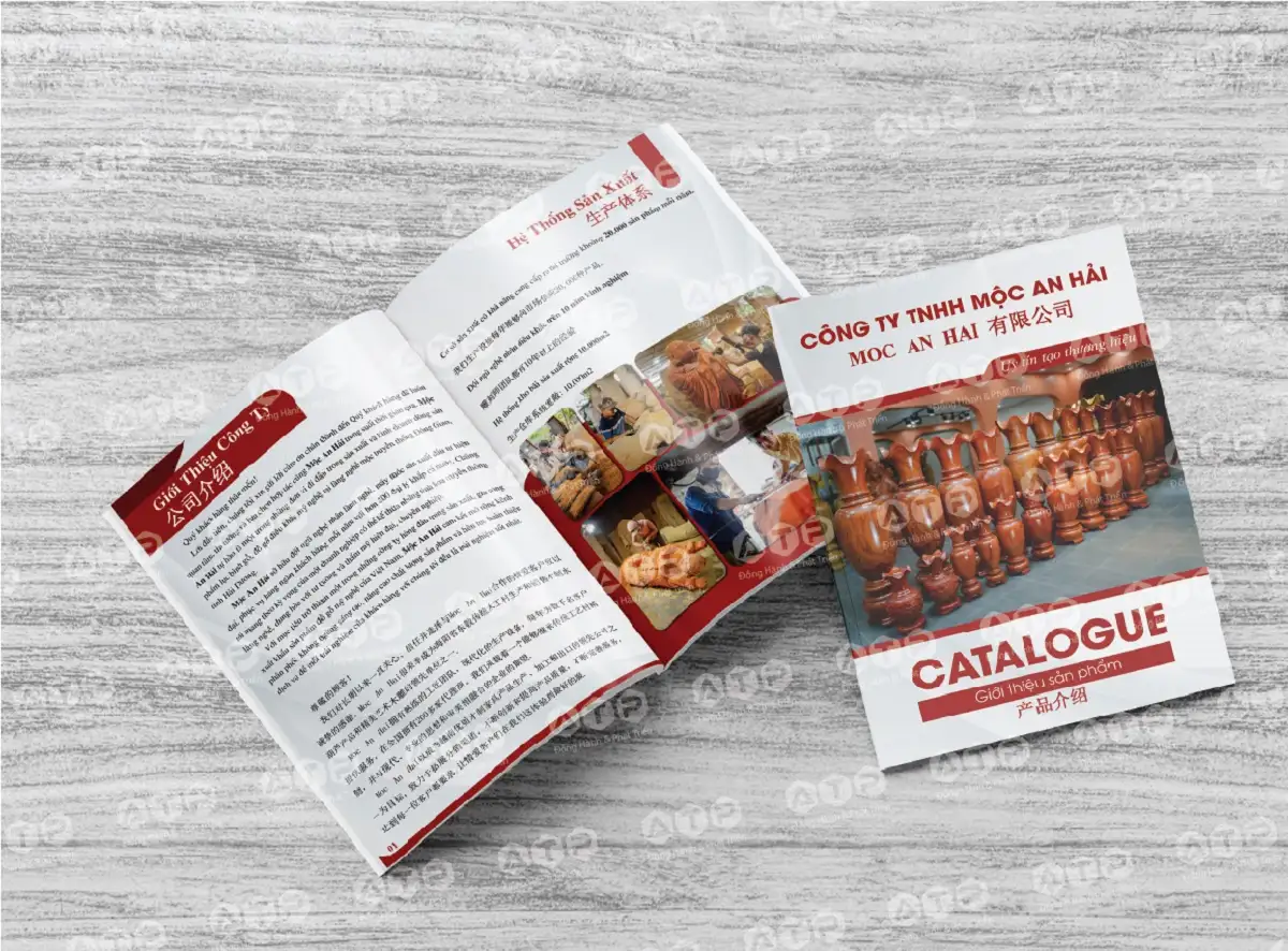 Công ty thiết kế catalogue đẳng cấp từ trang bìa đến nội dung