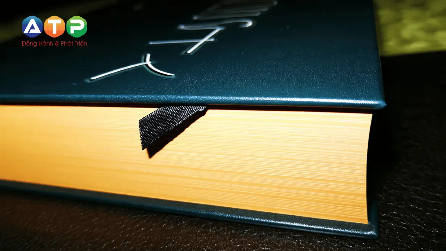 Các Loại Giấy In Sách Phổ Biến – Linh Hồn Thầm Lặng Của Mỗi Trang Chữ