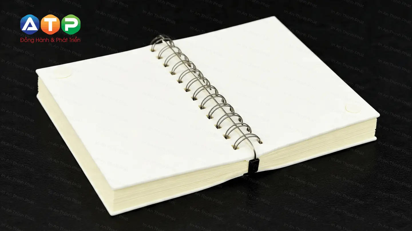 Các dòng sản phẩm sách màu phổ biến tại xưởng