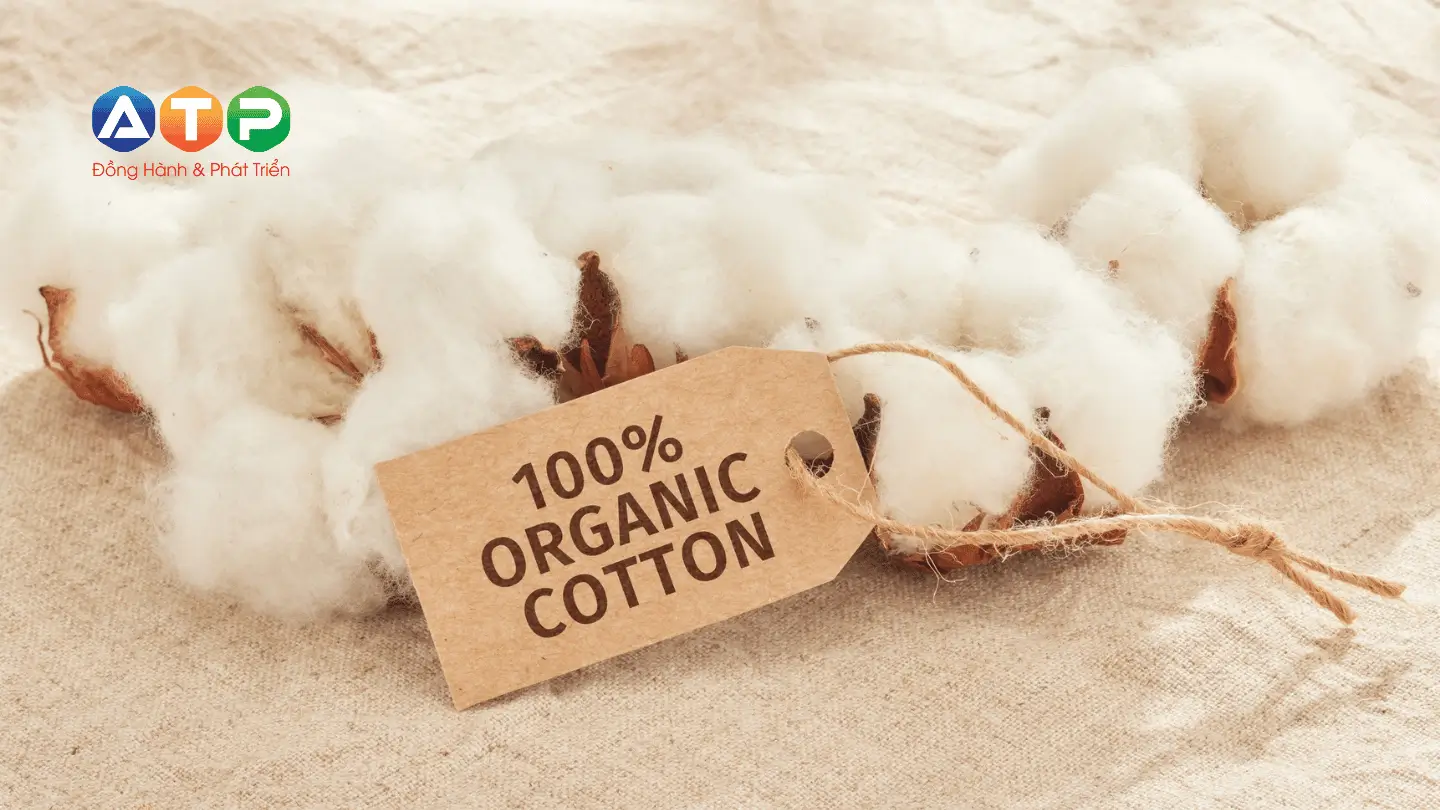 Khác biệt từ dịch vụ in tem nhựa tại In An Thịnh Phát