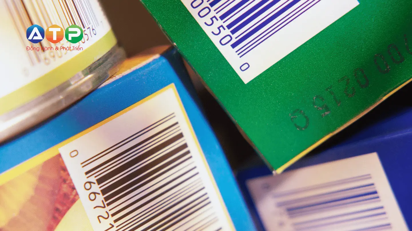 Mẹo chọn decal phù hợp – Đúc kết từ 30 năm nghề in