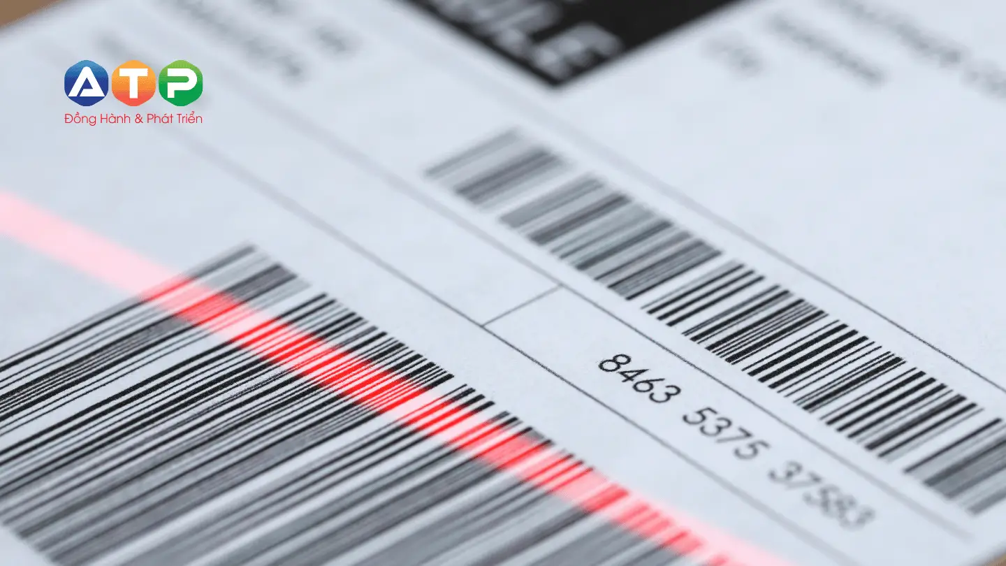 Quy trình thiết kế tem nhãn tại In An Thịnh Phát