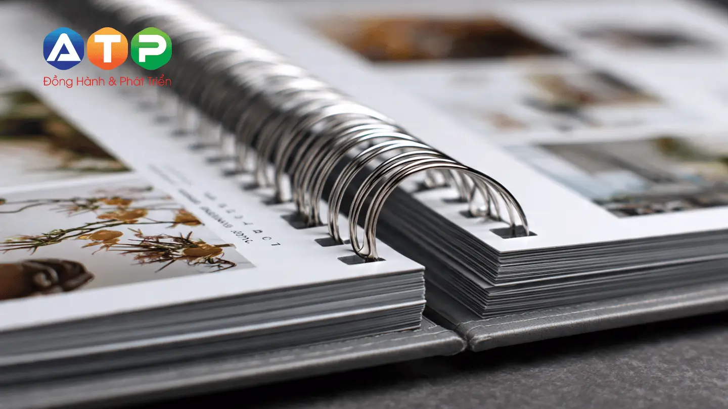 Quy chuẩn thiết kế và kích thước Catalogue Offset chuẩn 2026