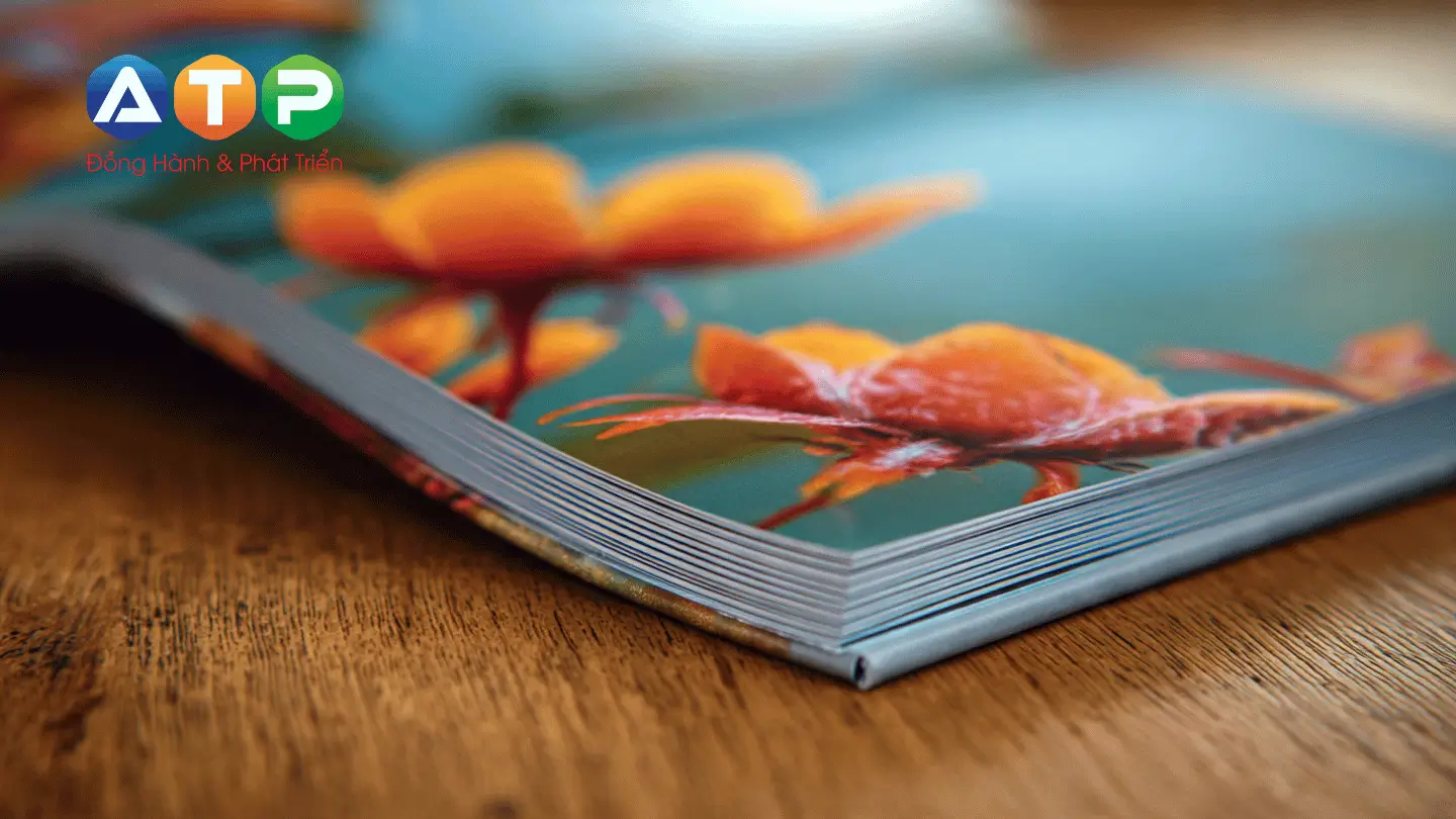 Ứng dụng của catalogue chất lượng trong thực tế