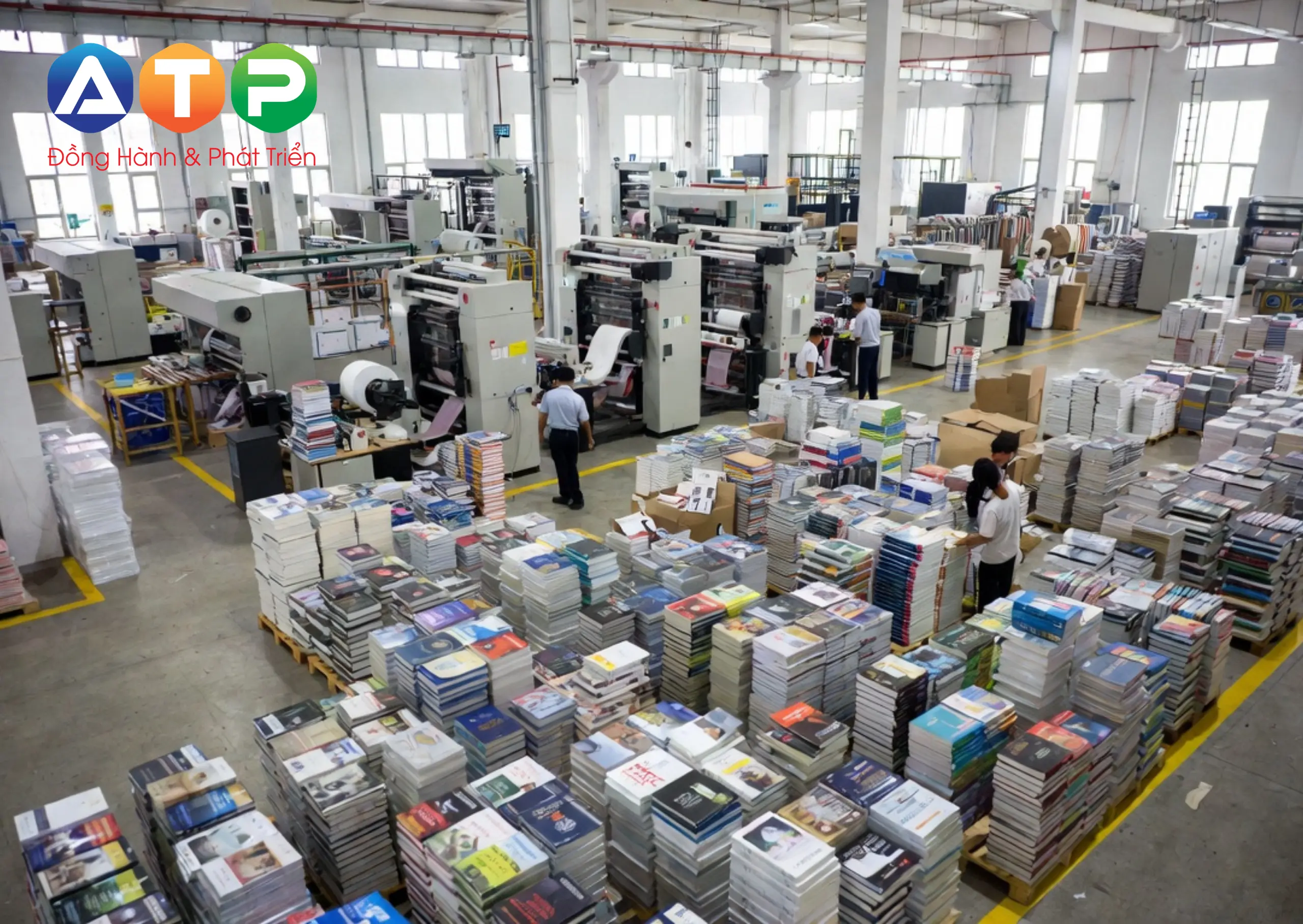 Phân Loại & Ứng Dụng Thực Tế Của Dịch Vụ Tại An Thịnh Phát