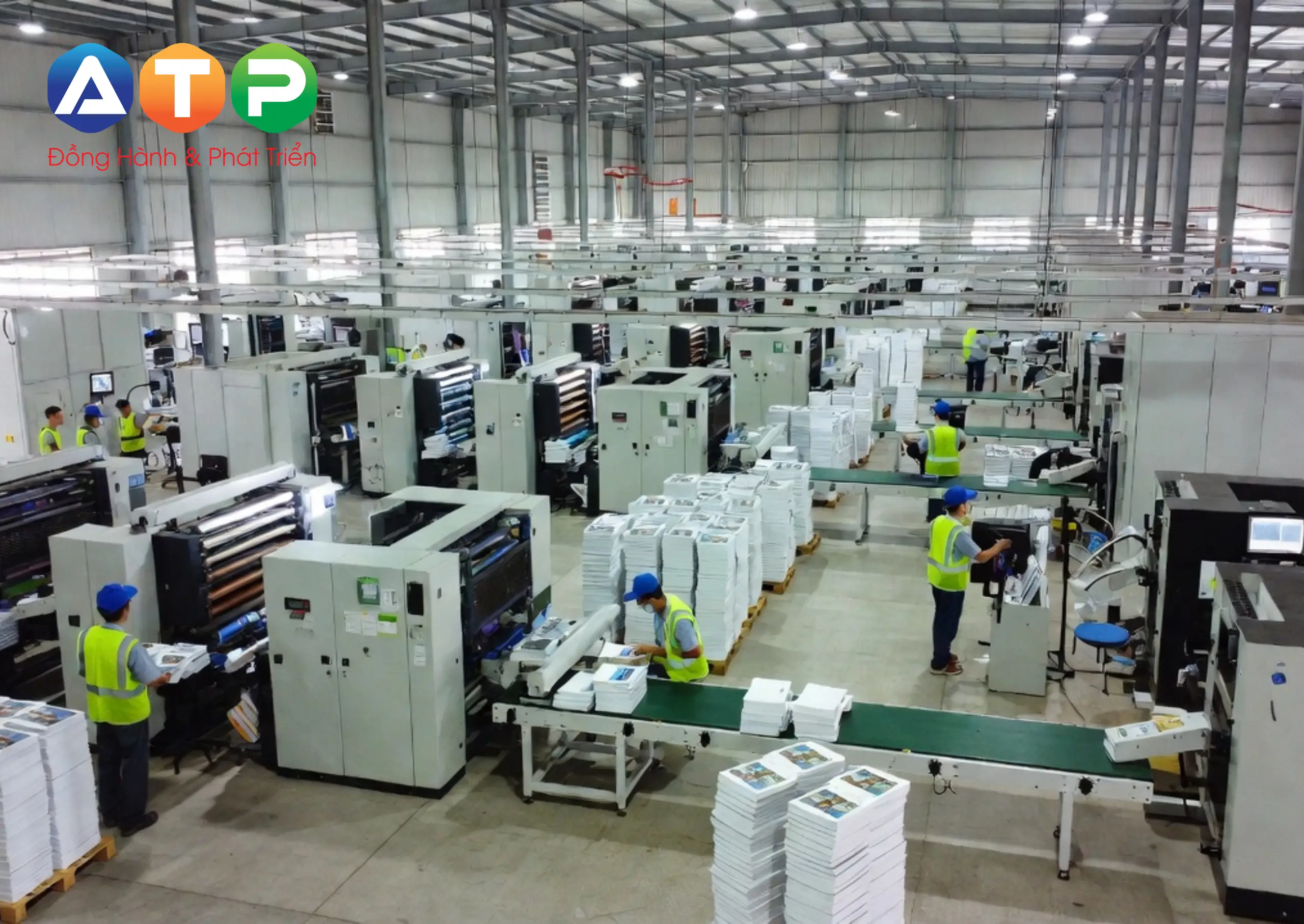 Tại Sao Doanh Nghiệp B2B Cần Làm Việc Trực Tiếp Với Một _Xưởng Thực_ Thay Vì Đơn Vị Thương Mại
