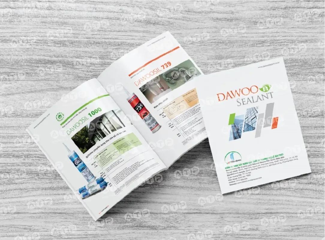 Công ty thiết kế catalogue đẳng cấp từ trang bìa đến nội dung